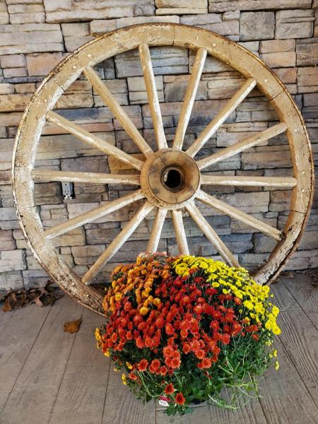 antique wagon wheel and mums on porch
