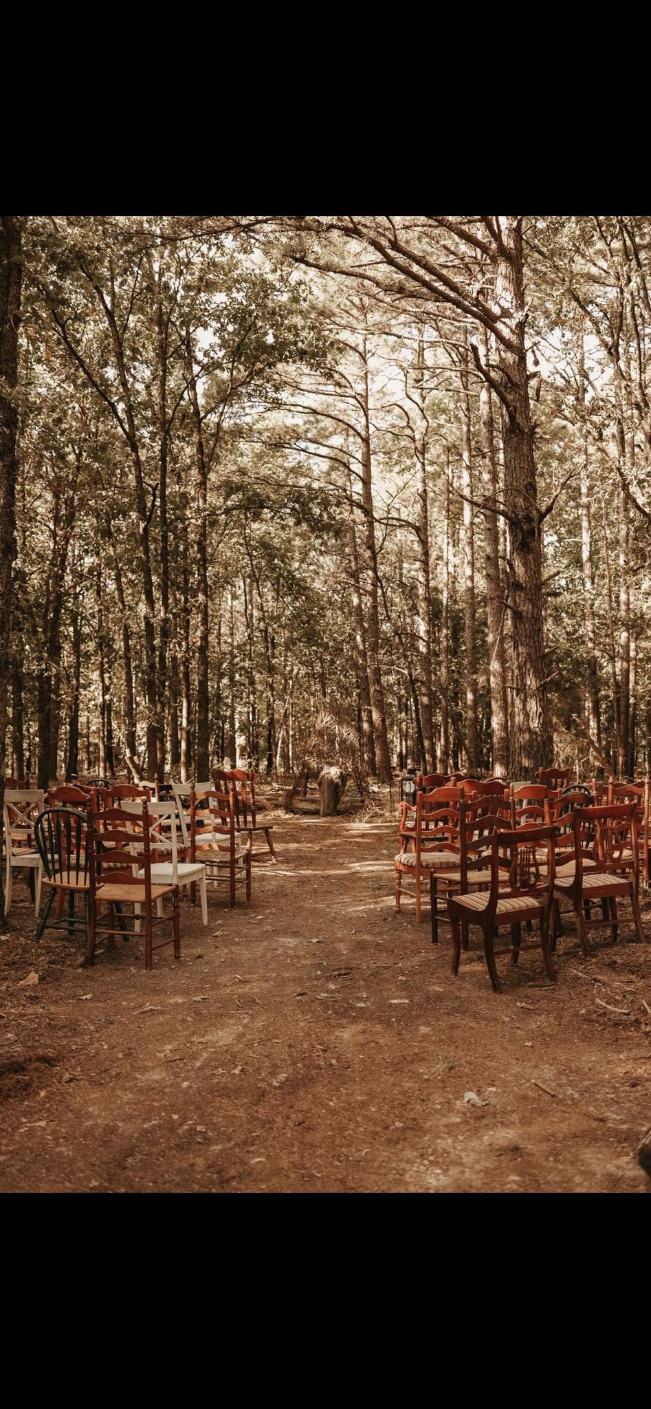 outdoor wedding ceremony with antique chairs for seating