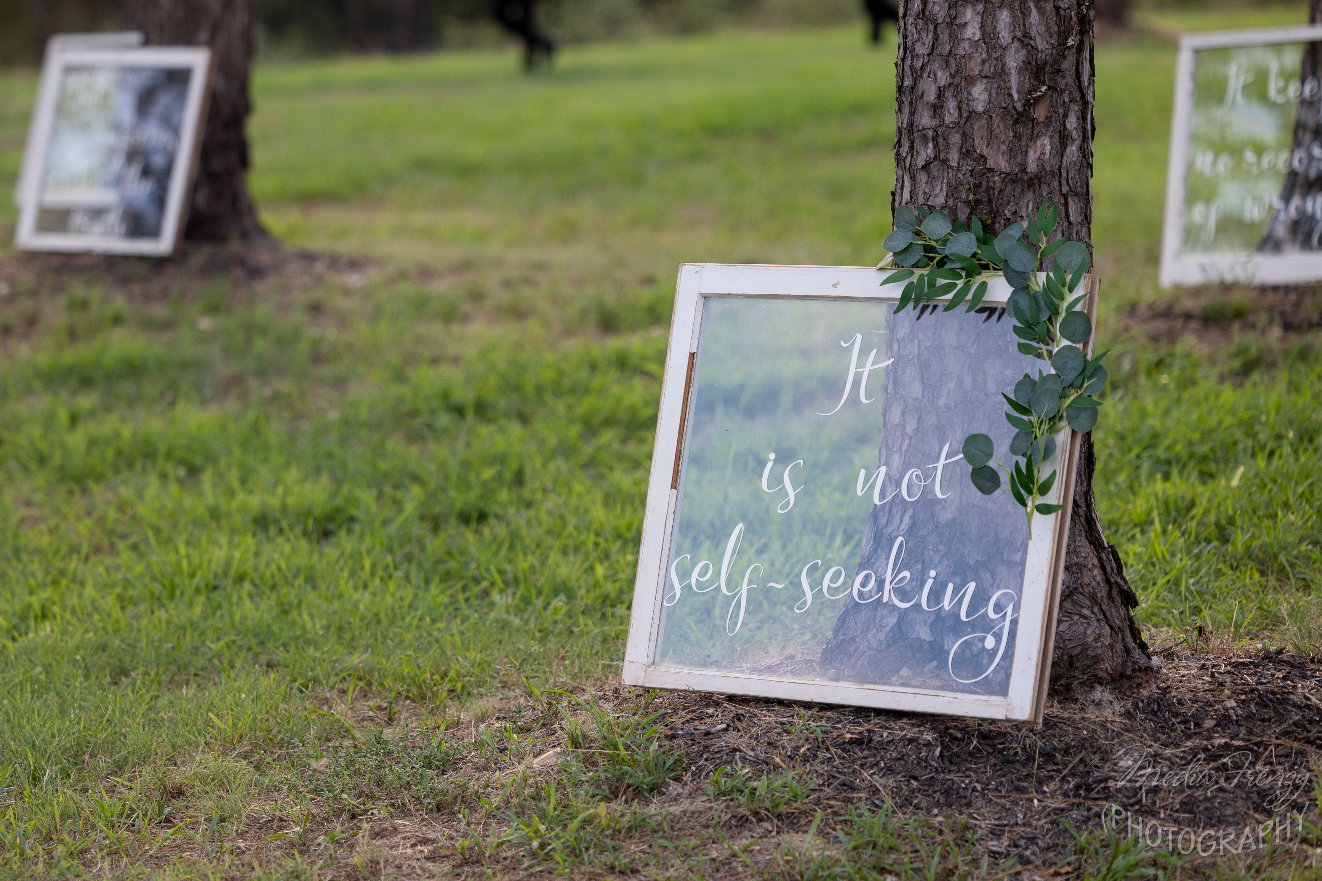 wedding signs on antique windows